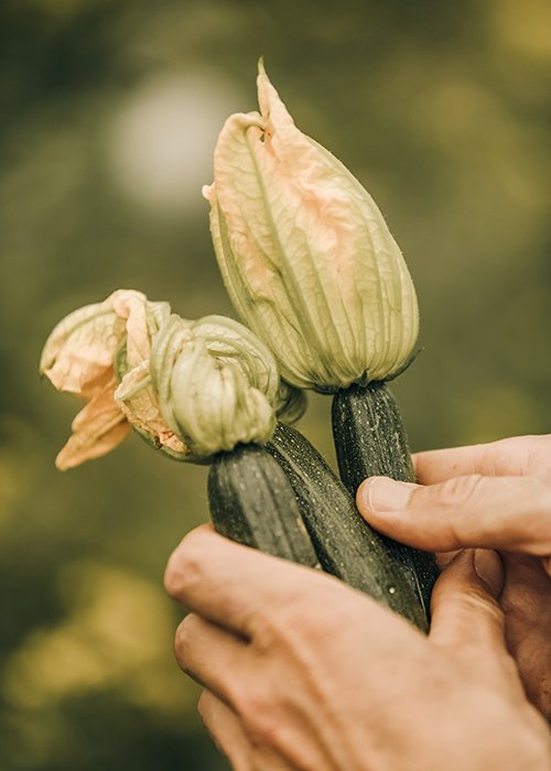 Seasonal