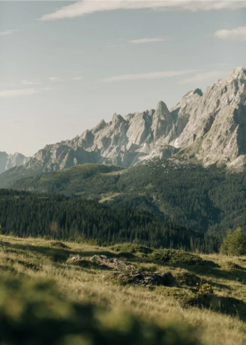 Mountains